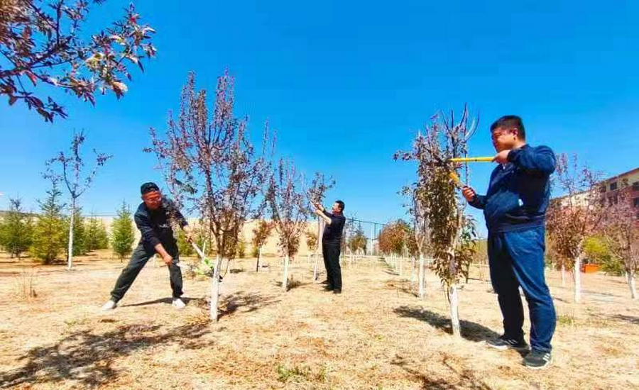 1652753901490023093.png 3_调整大小.png